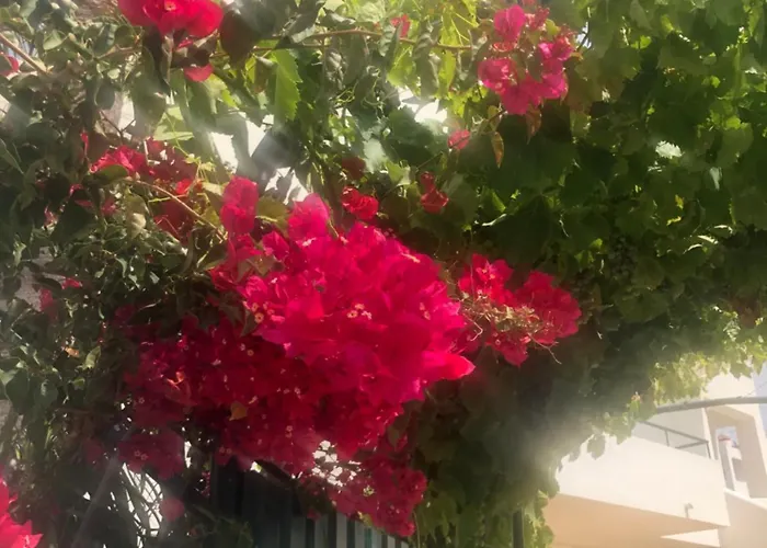 Debimar Apartamentos
